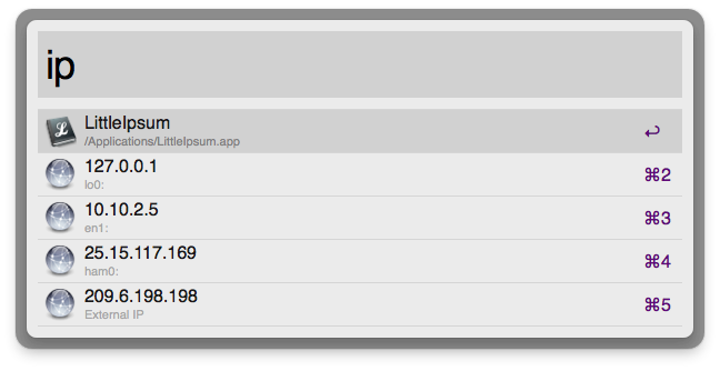 IP addresses in Alfred results